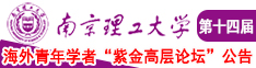 大鸡吧插我南京理工大学第十四届海外青年学者紫金论坛诚邀海内外英才！